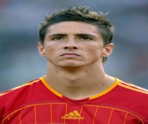 puzzel Fernando Torres