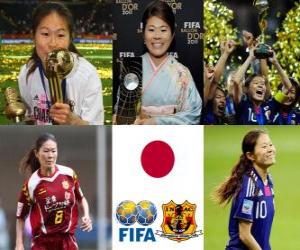 puzzel FIFA Women's World Player of the Year 2011 winnaar Homare Sawa