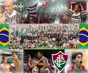puzzel Fluminense Football Club Kampioen van de 2010 Braziliaanse kampioenschap