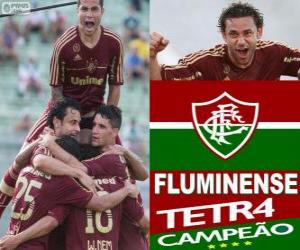 puzzel Fluminense Football Club Kampioen van de 2012 Braziliaanse kampioenschap