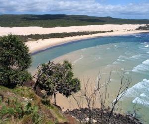 puzzel Fraser Island, de zanderige eiland is 122 kilometer lang en is's werelds grootste in zijn soort. Australië.