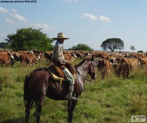 puzzel Gaucho te paard