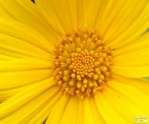 puzzel Gele bloem
