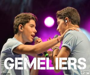 puzzel Gemeliers