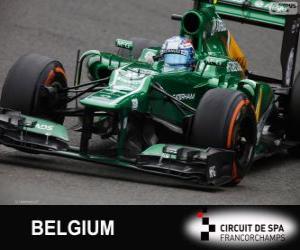 puzzel Giedo van der Garde - Caterham - Spa-Francorchamps, 2013