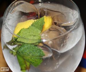 puzzel Gin en tonic