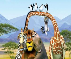 puzzel Gloria de Hippo, Melman de Giraffe, Alex de leeuw, Marty de zebra met andere protagonisten van de avonturen