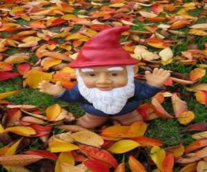 puzzel Gnome of dwerg