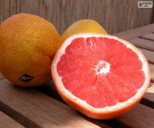 puzzel Grapefruit