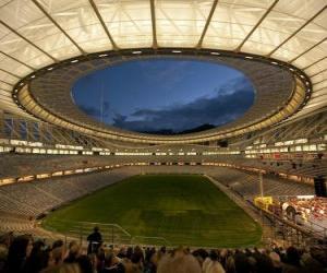 puzzel Green Point Stadium (66.005), Cape Town