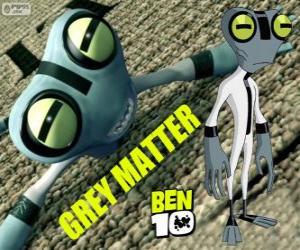 puzzel Grijze Massa of Grey Matter, Ben 10