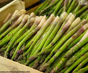 puzzel Groene asperges