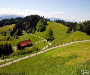 puzzel Groene weiden Mountain