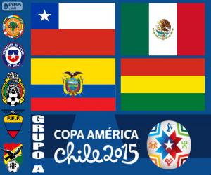 puzzel Groep A, Copa America 2015