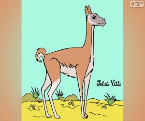 puzzel Guanaco, Julieta Vitali