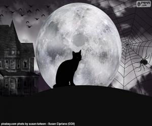 puzzel Halloween nacht