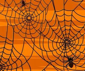 puzzel Halloween spinnen