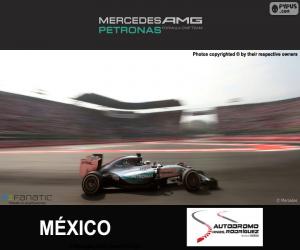 puzzel Hamilton, 2015 Grand Prix van Mexico