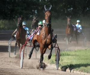 puzzel Harness Racing