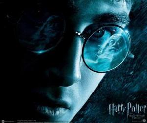 puzzel Harry Potter en de Halfbloed Prins