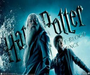 puzzel Harry Potter en de Halfbloed Prins