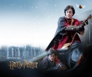 puzzel Harry Potter Zwerkbal te spelen met zijn magische bezem als een jager probeert de bal te vangen