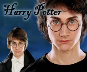 puzzel Harry Potter