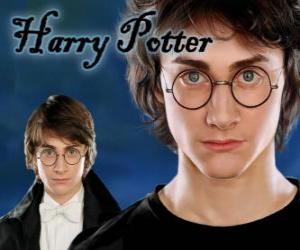 puzzel Harry Potter