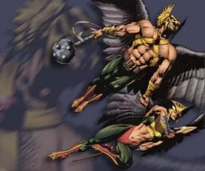 puzzel Hawkman of Hawkgirl