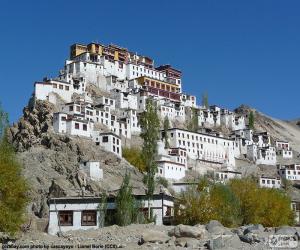 puzzel Hemis klooster, India