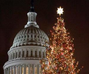 puzzel het Capitool kerstboom