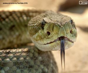 puzzel Het gezicht van een slang