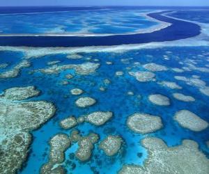 puzzel Het Great Barrier Reef, koraalriffen over de hele wereld grootste. Australië.