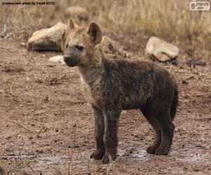 puzzel Het puppy van Hyena