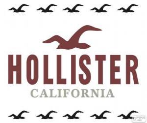 puzzel Hollister logo
