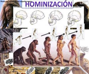 puzzel Hominization proces