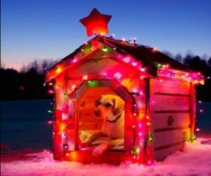 puzzel Hond huis versierd voor Kerstmis