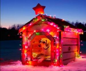 puzzel Hond huis versierd voor Kerstmis