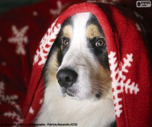 puzzel Hond kerst