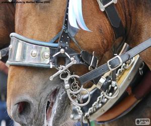 puzzel Hoofdstel van een paard