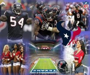 puzzel Houston Texans