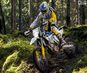 puzzel Husqvarna FE 501 2015