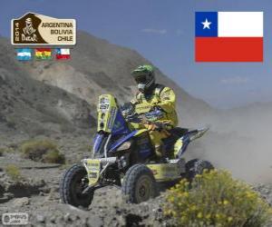 puzzel Ignacio Casale, Dakar 2014