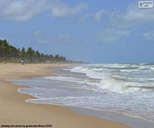 puzzel Imbassai Beach, Brazilië