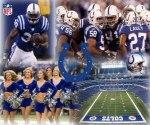 puzzel Indianapolis Colts
