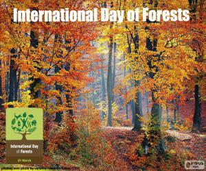puzzel Internationale dag van de bossen