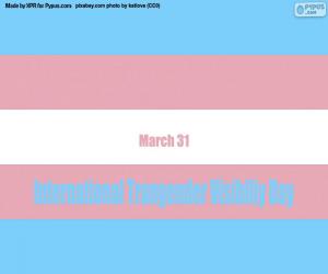 puzzel Internationale Dag van de Zichtbaarheid van Transgenders