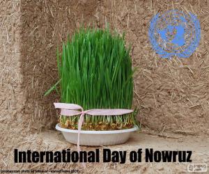 puzzel Internationale Dag van Noroez