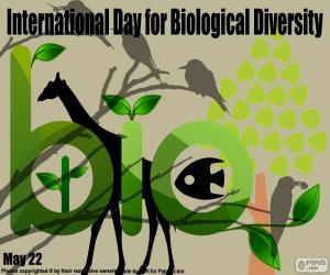 puzzel Internationale dag voor biologische diversiteit