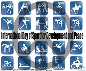 puzzel Internationale Sportdag voor Ontwikkeling en Vrede